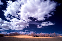 Clouds over Southborough Farm (infrared)