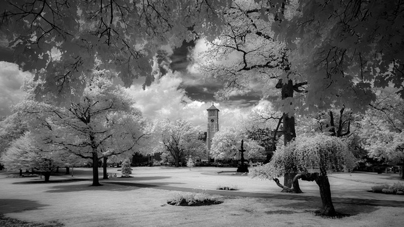 A walk in the park (infrared) - Clinton, MA