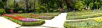 Real Jardin Botanico (Royal Botanical Gardens)
